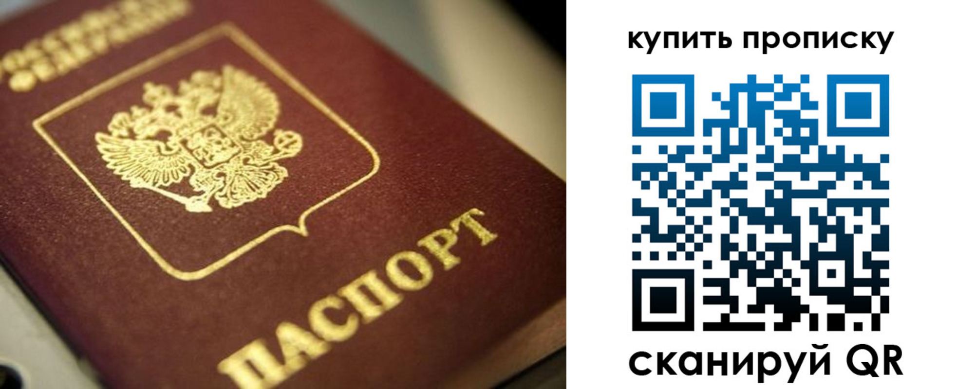 прописка поиск в Называевске